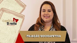 Explica Direito Filiação Socioafetiva  2019 [upl. by Gnov]