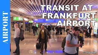 TRANSIT WALK AT FRANKFURT Airport FRA Terminal 1  Connection Flight Transfer Arriving amp Departing [upl. by Godfrey735]